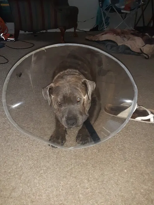 Seminole Veterinary Hospital Picture 7