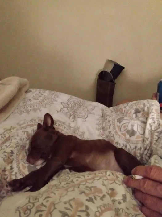 Seminole Veterinary Hospital Picture 3