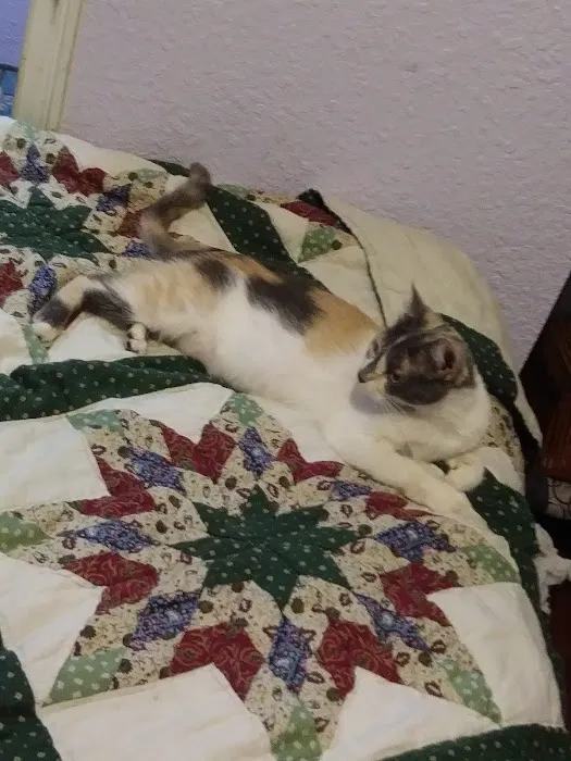 Seminole Veterinary Hospital Picture 10