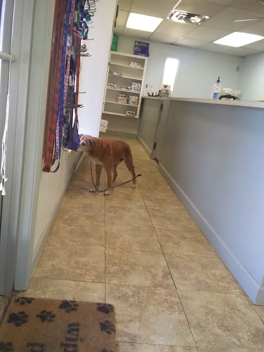 Seminole Veterinary Hospital Picture 9