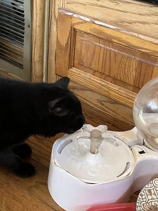 Seminole Veterinary Hospital Picture 8