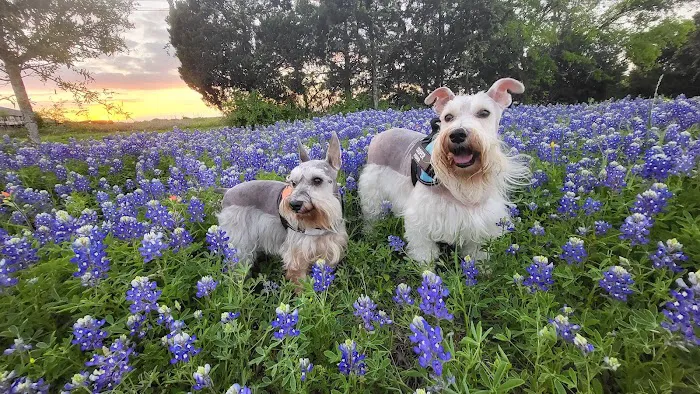 Northside Veterinary Hospital Picture 1