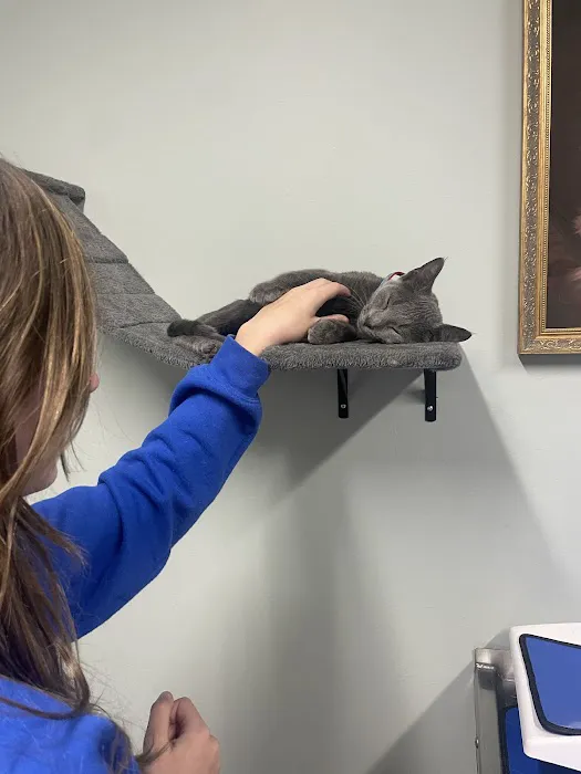 Northside Veterinary Hospital Picture 3