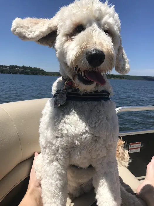 Northside Veterinary Hospital Picture 8