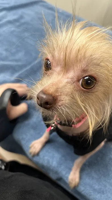 Shawnee Animal Hospital Picture 5