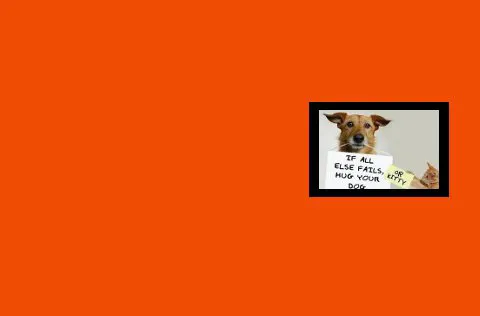 Dogwood Vet Hospital Picture 2