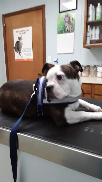 Dogwood Vet Hospital Picture 4