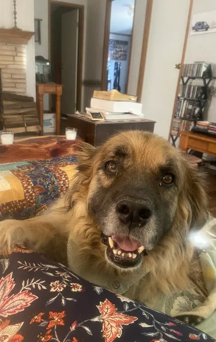 Baker Animal Clinic: Maria Di Gregorio, D.V.M. Picture 2