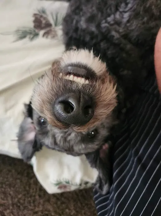 Baker Animal Clinic: Maria Di Gregorio, D.V.M. Picture 1