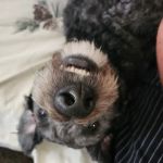 Baker Animal Clinic: Maria Di Gregorio, D.V.M.