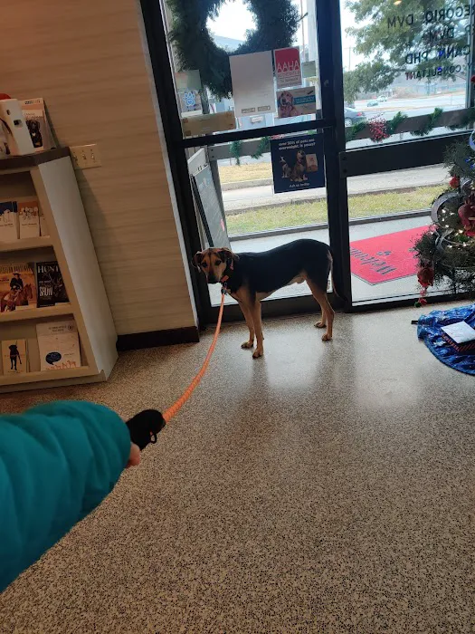 Baker Animal Clinic: Maria Di Gregorio, D.V.M. Picture 3