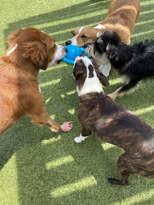 Baker Animal Clinic Picture 2