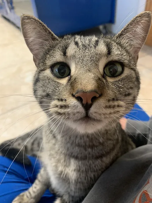 Baker Animal Clinic Picture 1