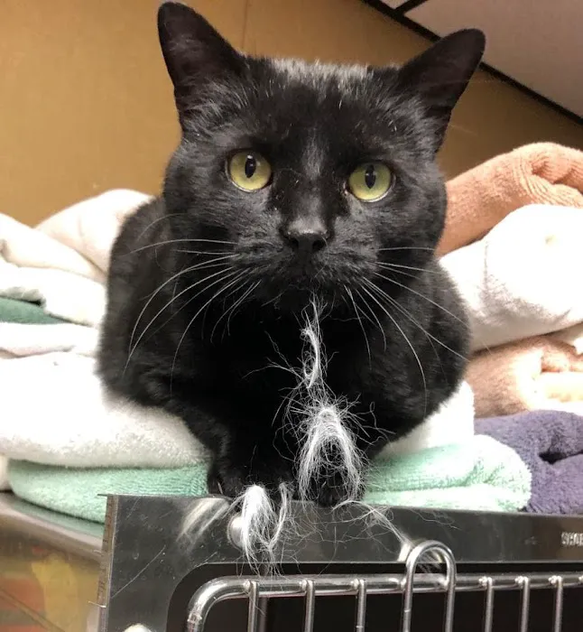 Baker Animal Clinic Picture 8