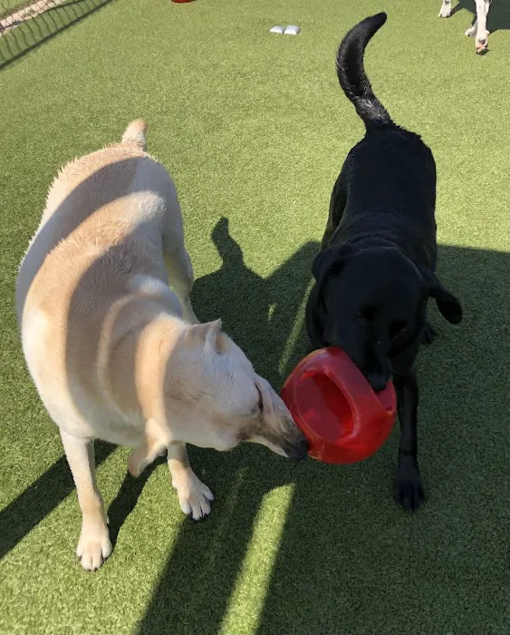 Baker Animal Clinic Picture 6