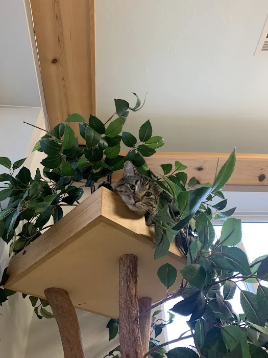 Baker Animal Clinic Picture 5