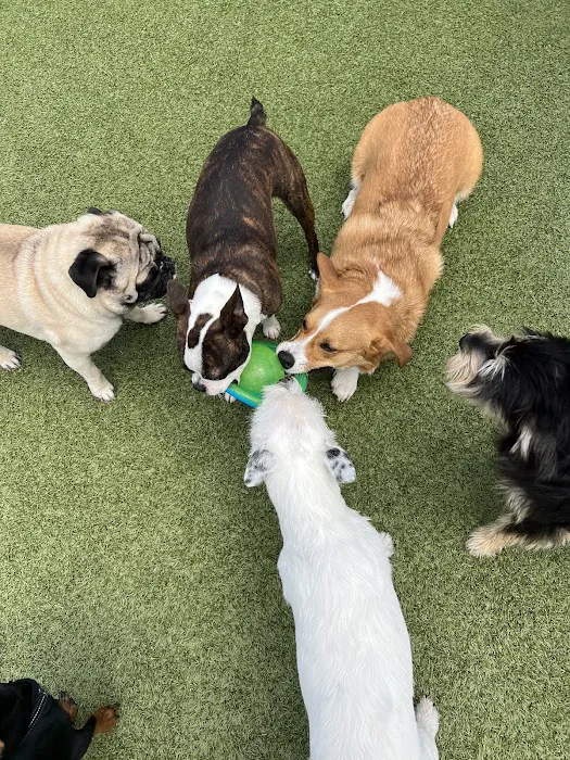 Baker Animal Clinic Picture 9