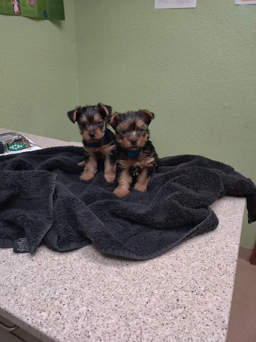 Cimarron Animal Clinic Picture 2