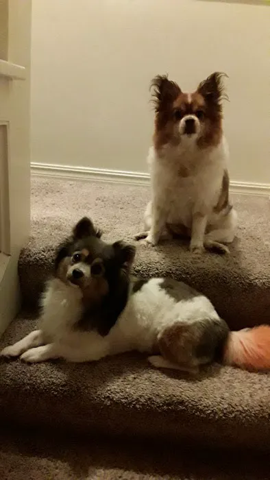 Cimarron Animal Clinic Picture 1