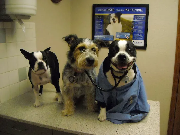 Cimarron Animal Clinic Picture 3