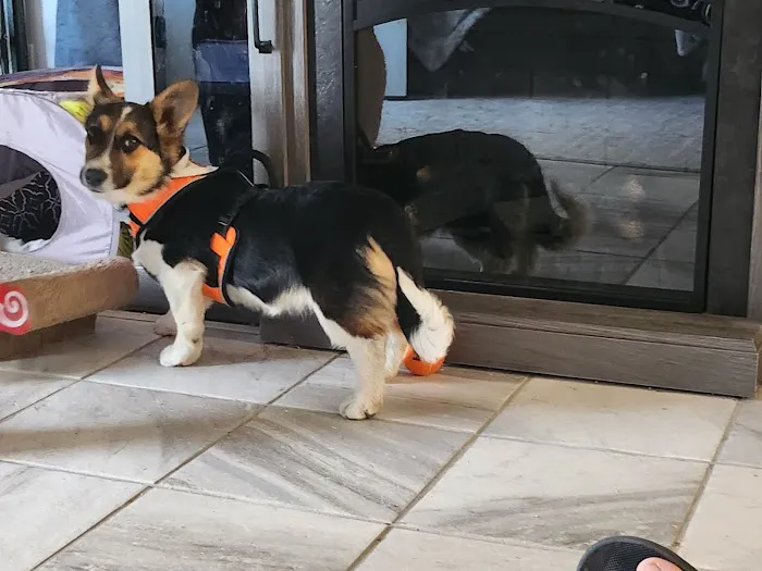 Cimarron Animal Clinic Picture 4