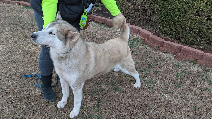 Cimarron Animal Clinic Picture 7