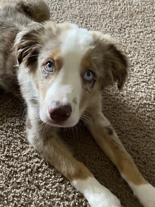 Cimarron Animal Clinic Picture 6