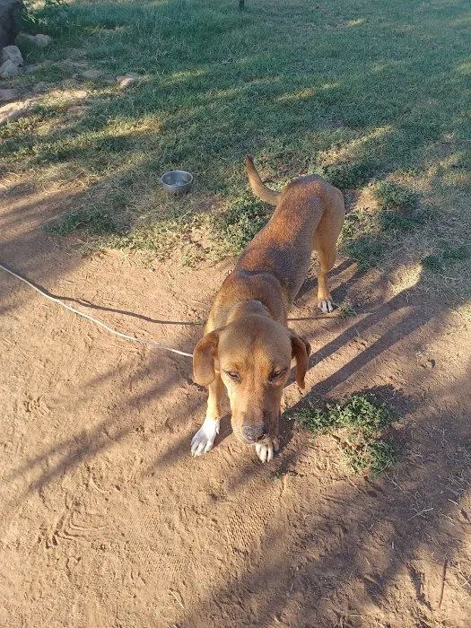 Cimarron Animal Clinic Picture 9