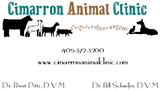Cimarron Animal Clinic Picture 10