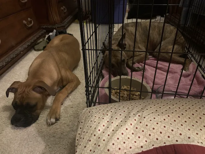 Oklahoma State University Veterinary Medical Teaching Hospital Picture 1