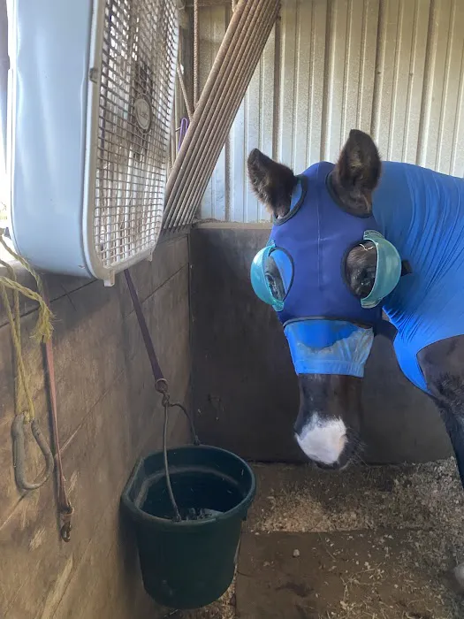 Oklahoma State University Veterinary Medical Teaching Hospital Picture 6