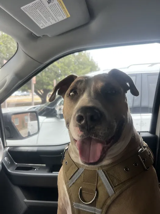 Oklahoma State University Veterinary Medical Teaching Hospital Picture 3