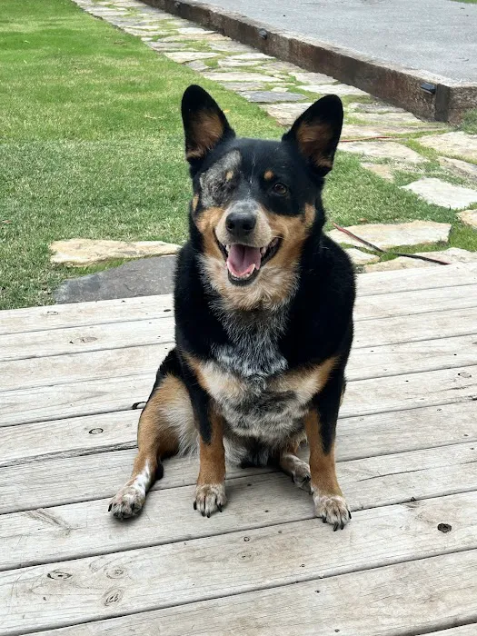 Oklahoma State University Veterinary Medical Teaching Hospital Picture 9