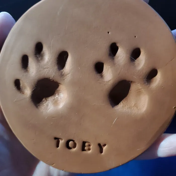 Oklahoma State University Veterinary Picture 3