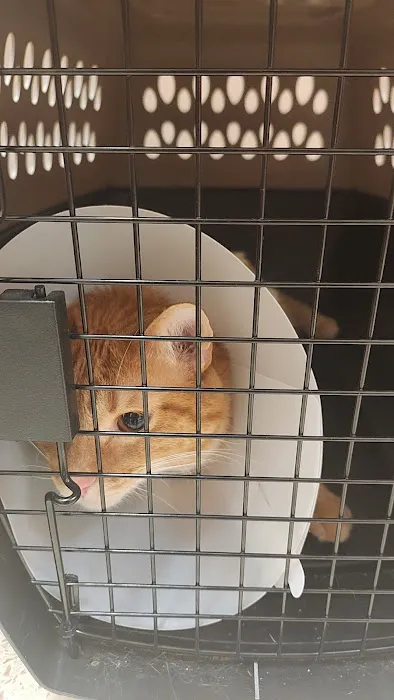 Oklahoma State University Veterinary Picture 10