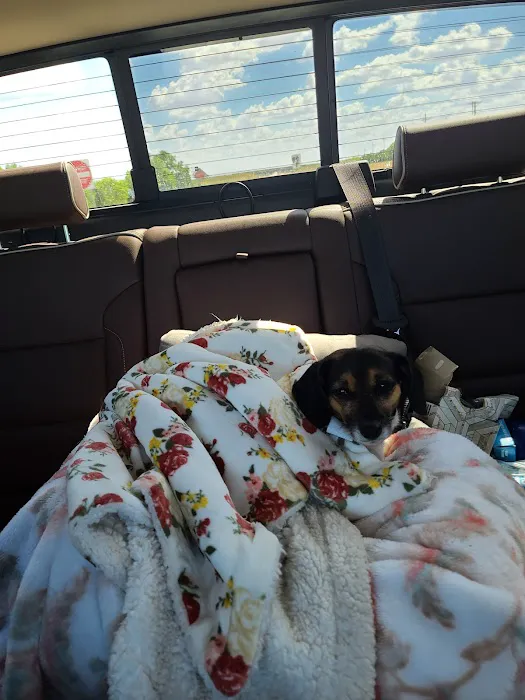 Oklahoma State University Veterinary Picture 9