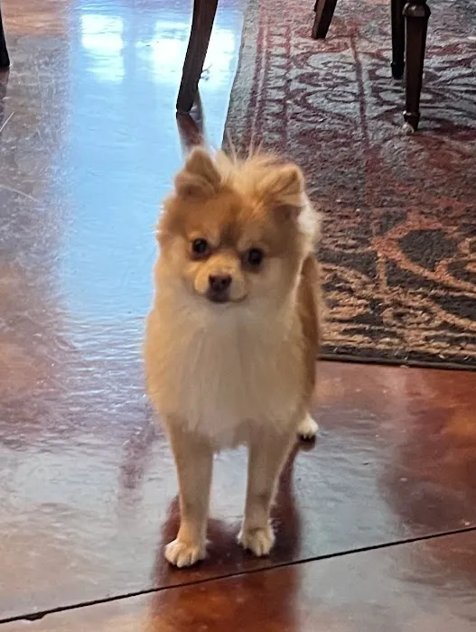 Oklahoma State University Veterinary Picture 6