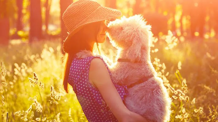 Western Veterinary Hospital Picture 5