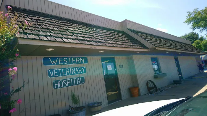 Western Veterinary Hospital Picture 3