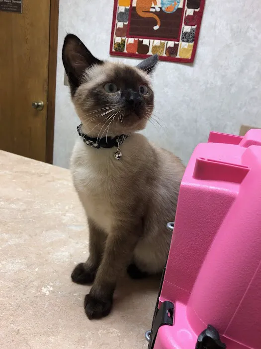 Western Veterinary Hospital Picture 2