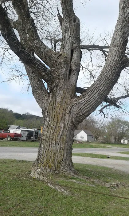 Hominy Animal Clinic Picture 1