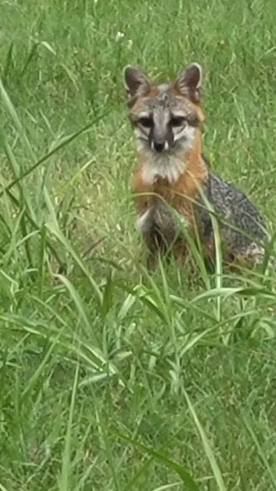 Pawnee Animal Clinic Picture 1