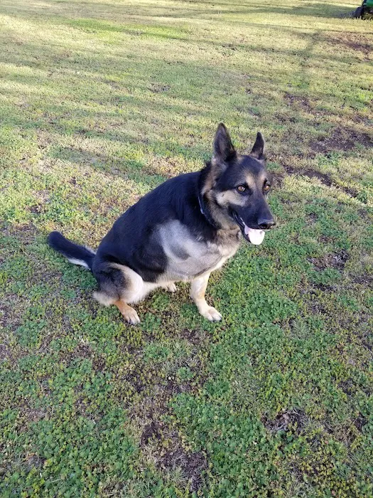 Pawnee Animal Clinic Picture 5