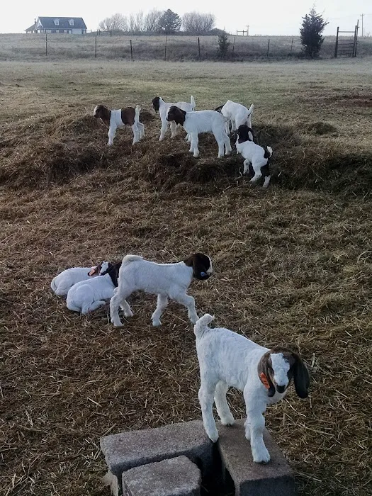 Pawnee Animal Clinic Picture 4