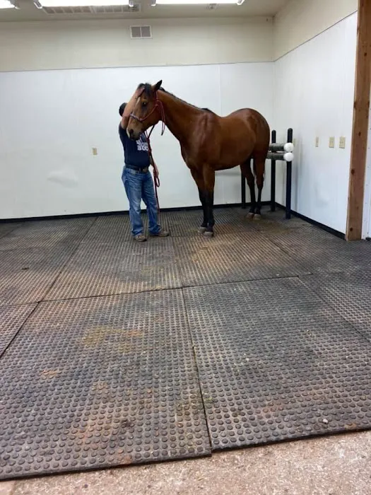 Crosby Vet Services Picture 2