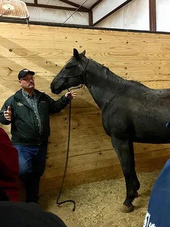 Crosby Vet Services Picture 7