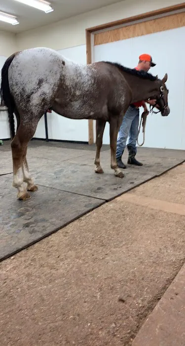 Crosby Vet Services Picture 5