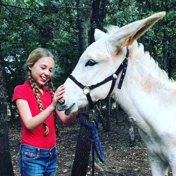 Crosby Vet Services Picture 4