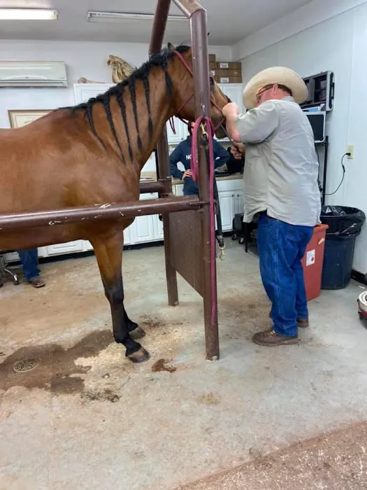 Crosby Vet Services Picture 6