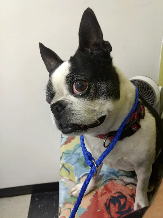 McLoud Animal Hospital Picture 2